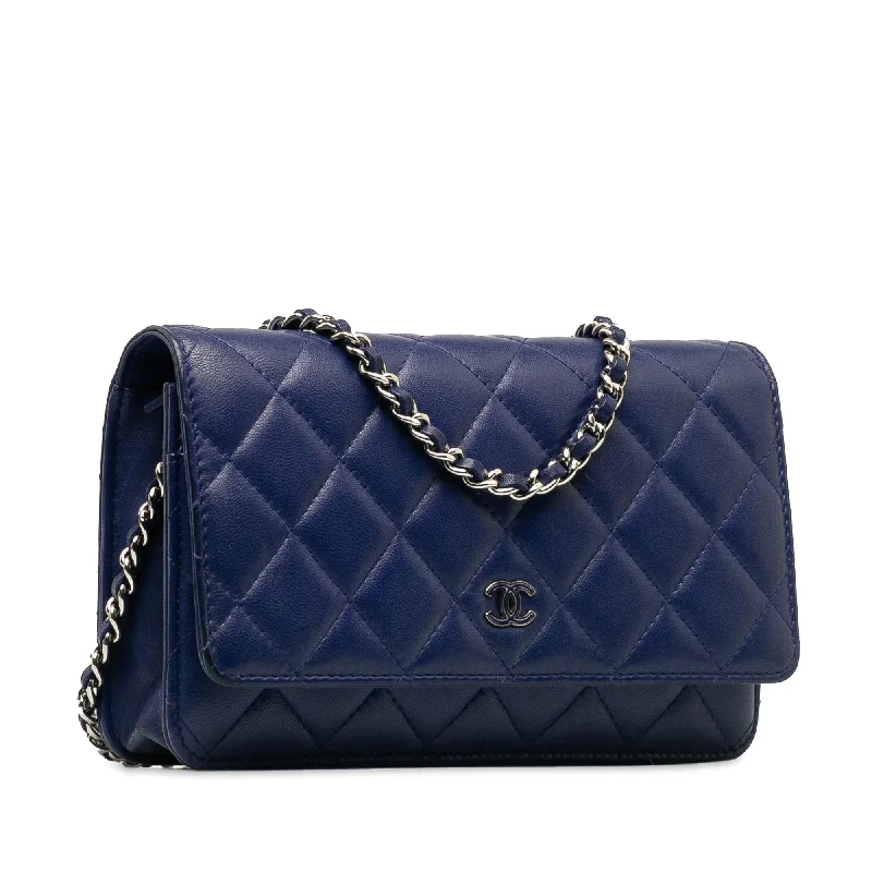 Chanel Lightweight Handbag for Daily ErrandsChanel Classic Lambskin Wallet on Chain (bnYQp3)